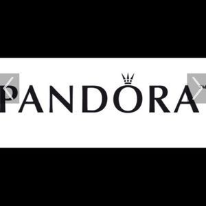 ISO Pandora Marco Island, FL Travel Charm!!